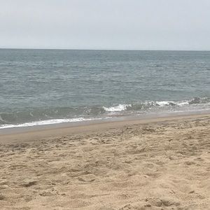 Meet your Posher, Petra